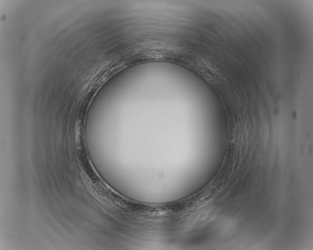 X0000054400646200507290832