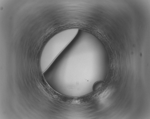 X0000054400647200507290833