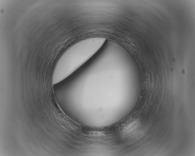 X0000054400649200507290833