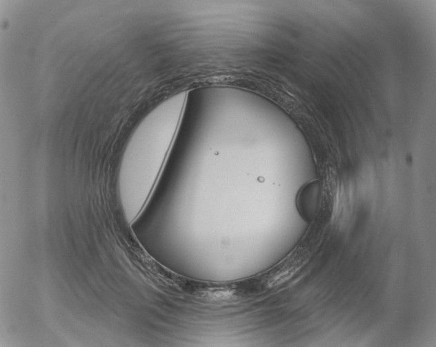 X0000054400651200507290833