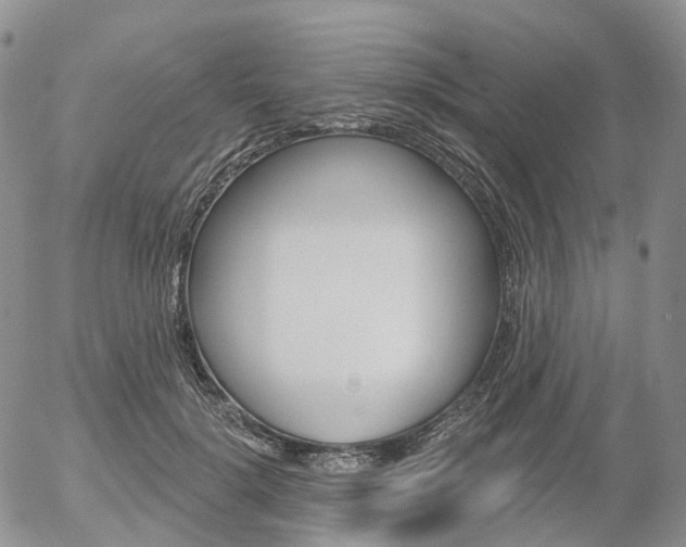 X0000054400652200507290833