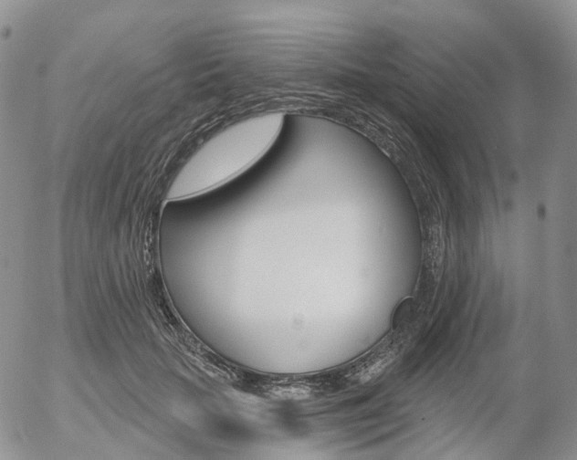 X0000054400653200507290833