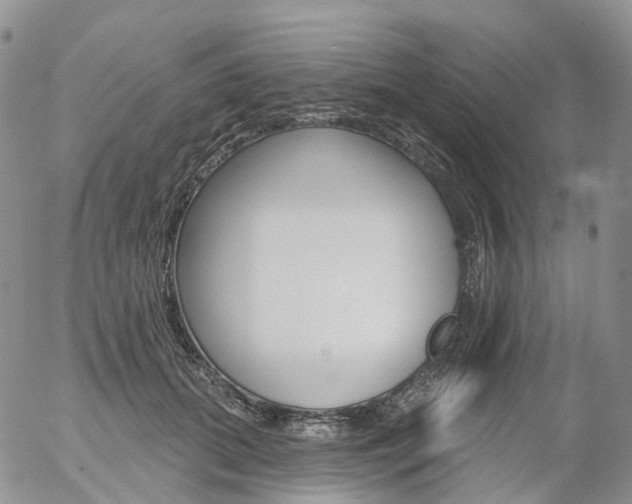X0000054400655200507290833