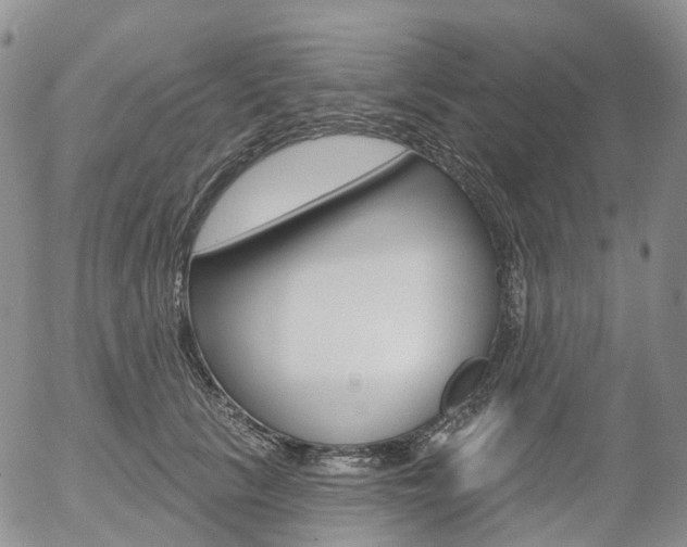 X0000054400657200507290833