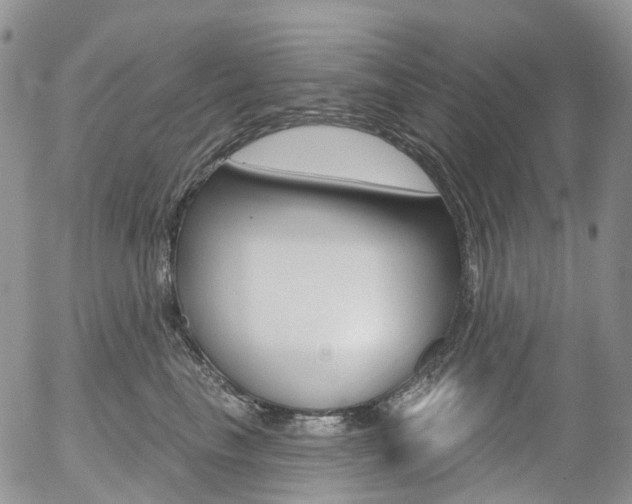 X0000054400665200507290833