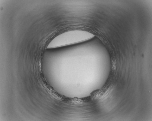 X0000054400666200507290833