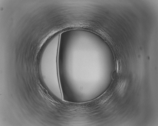 X0000054400723200507290831