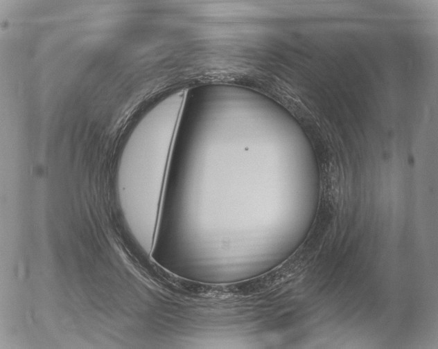 X0000054400742200507290831