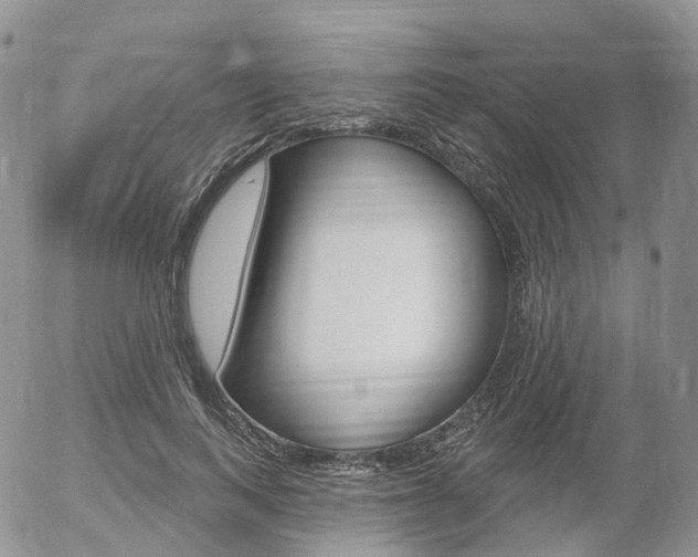 X0000054400743200507290831