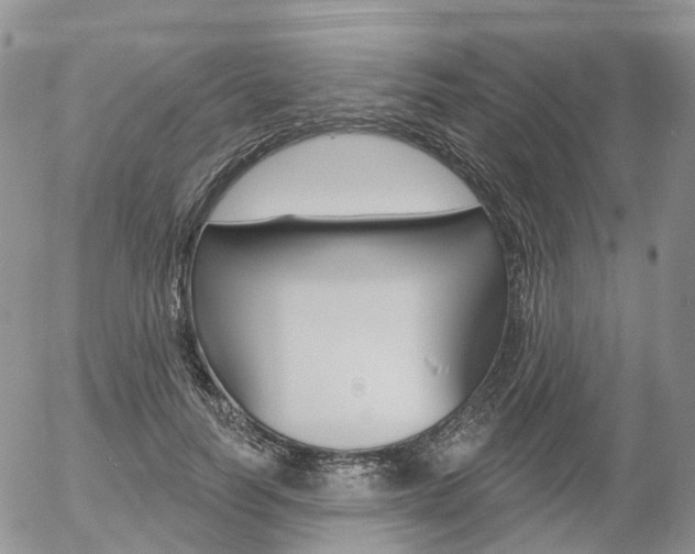 X0000054400746200507290831