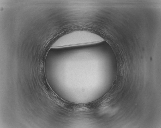 X0000054400747200507290831