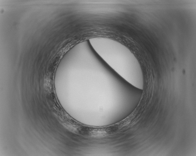 X0000054400749200507290831