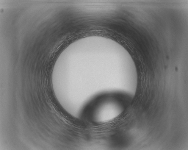 X0000054400750200507290831