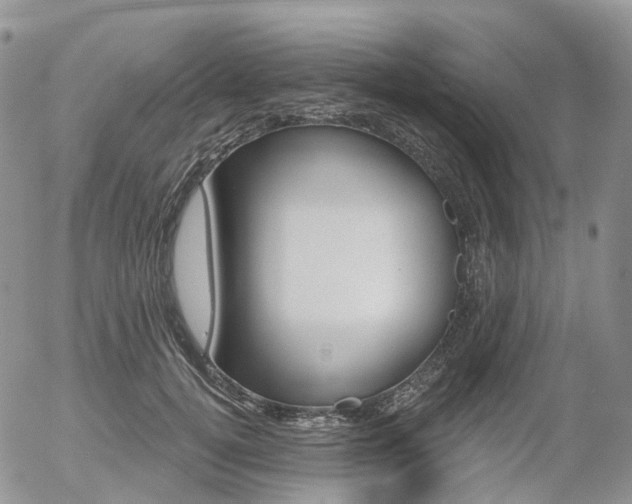 X0000054400752200507290831