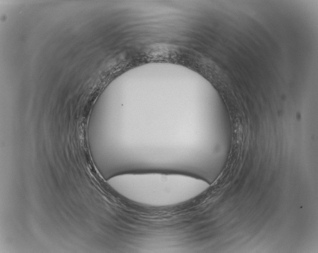 X0000054400753200507290831