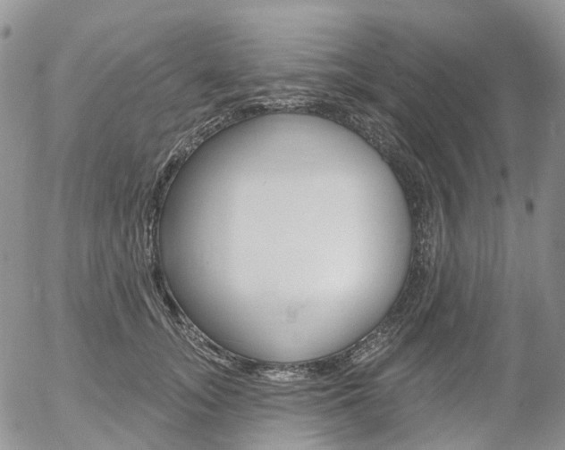 X0000054400755200507290831