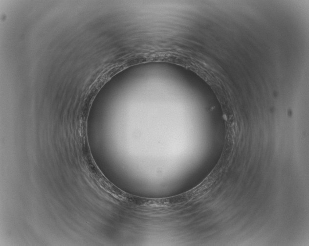 X0000054400756200507290831
