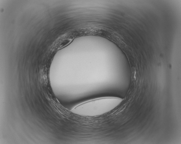X0000054400771200507290830
