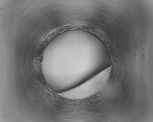 X0000054400773200507290830
