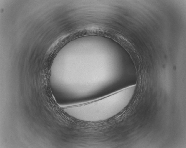 X0000054400776200507290830