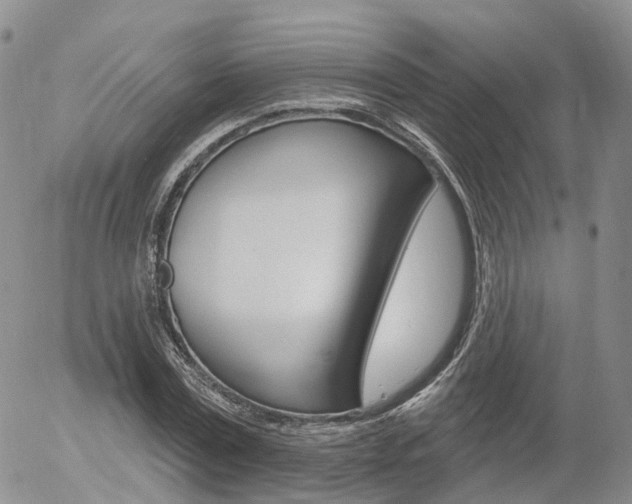 X0000054400779200507290830