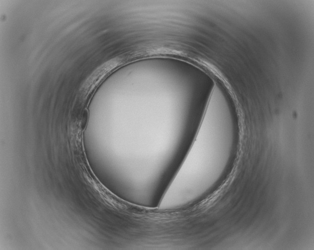 X0000054400793200507290830