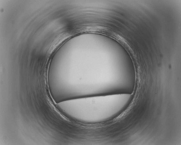 X0000054400794200507290830