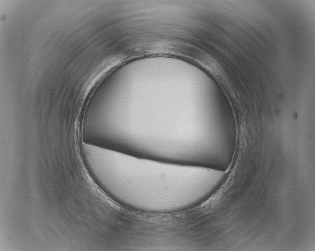 X0000054400798200507290830