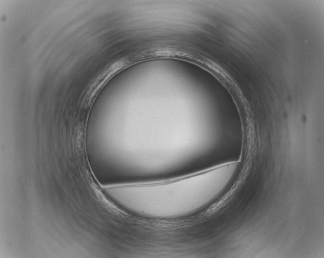 X0000054400801200507290830