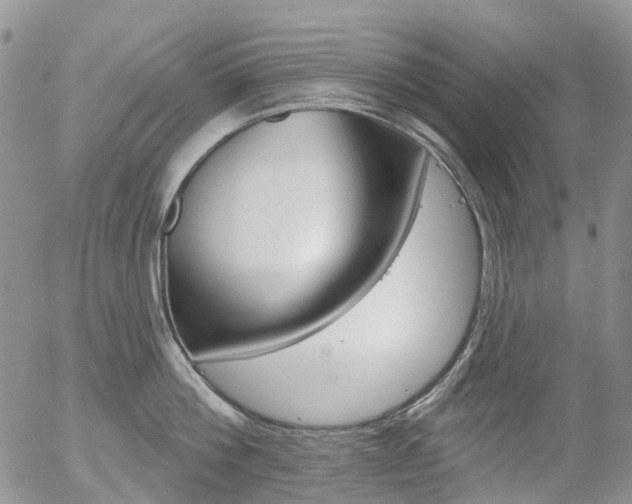 X0000054400812200507290830