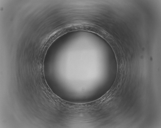 X0000054400822200507290829
