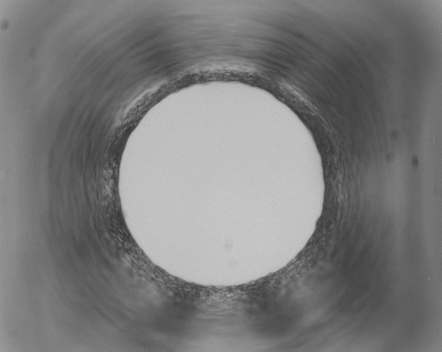 X0000054400824200507290829