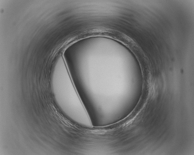 X0000054400825200507290829
