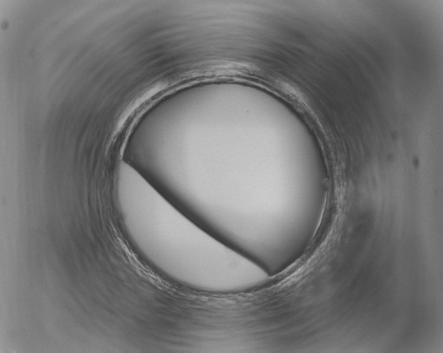 X0000054400827200507290829
