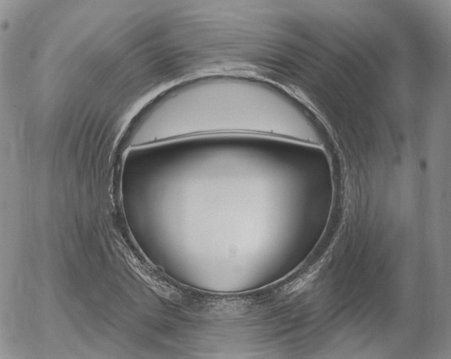X0000054400830200507290829