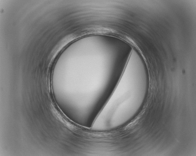 X0000054400843200507290829