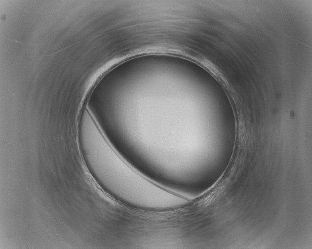 X0000054400854200507290830