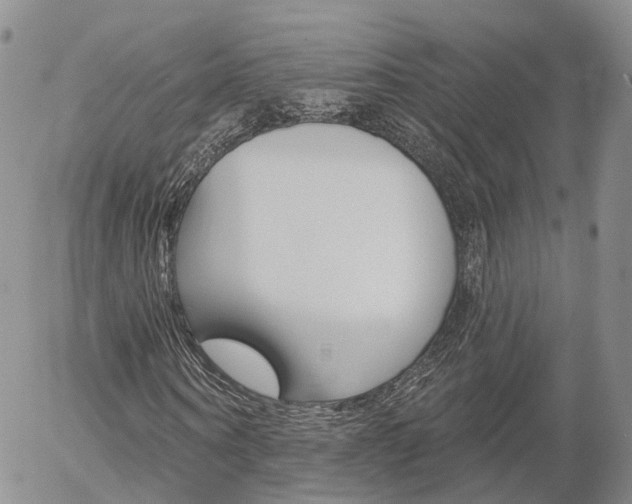 X0000054400866200507290829