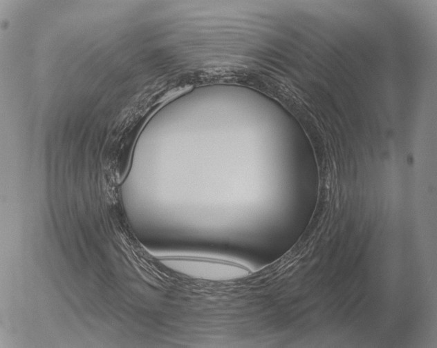 X0000054400868200507290829