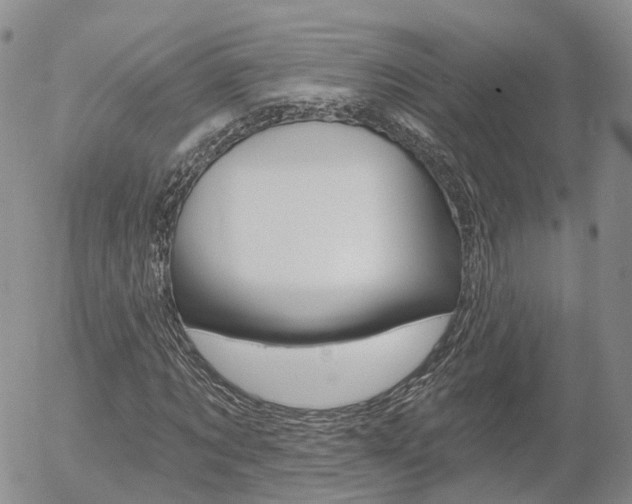 X0000054400869200507290829