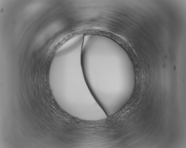 X0000054400871200507290829