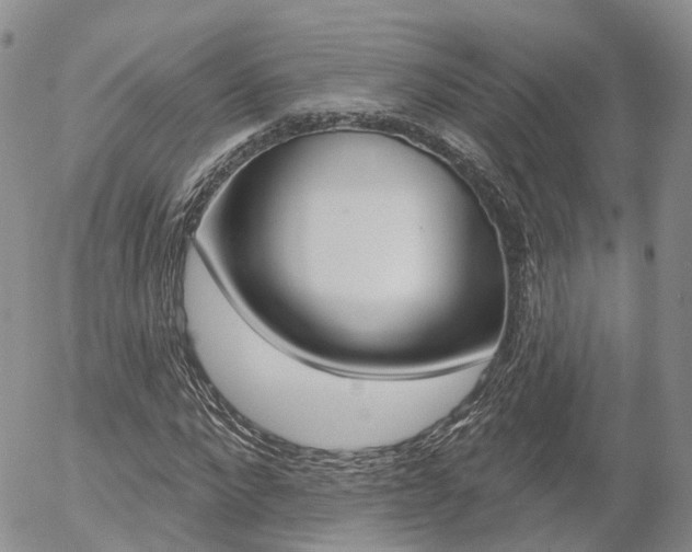X0000054400872200507290829