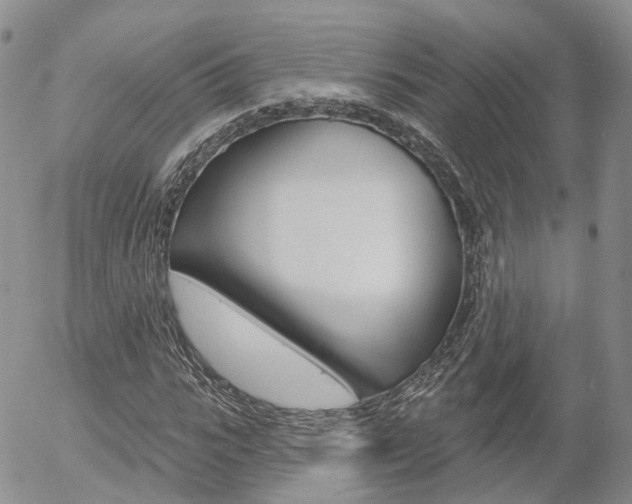 X0000054400919200507290827