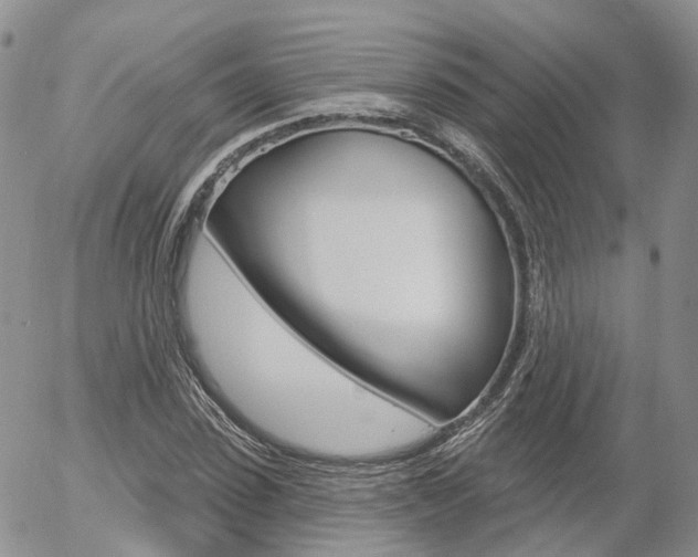 X0000054400923200507290828
