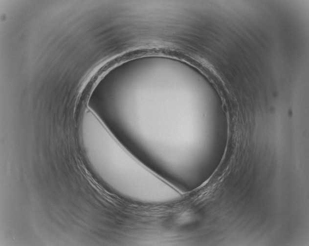 X0000054400927200507290828
