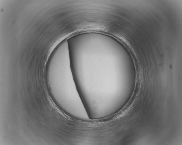X0000054400933200507290828
