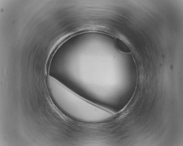X0000054400940200507290828