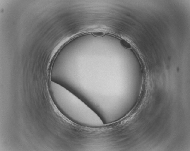 X0000054400941200507290828