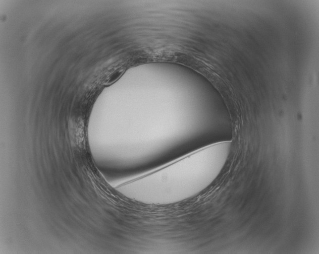 X0000054400963200507290827