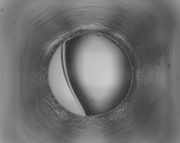 X0000054400968200507290827